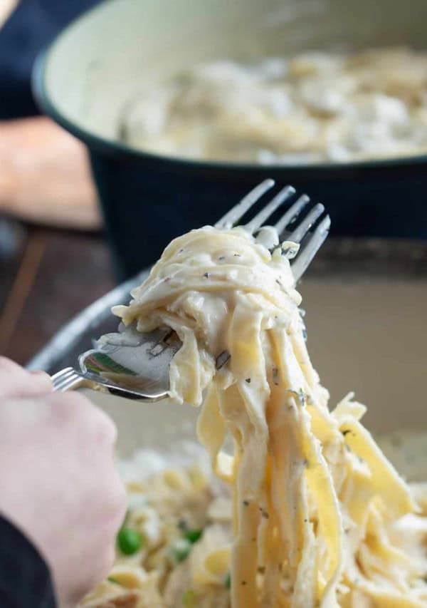 chicken and pasta on a fork.