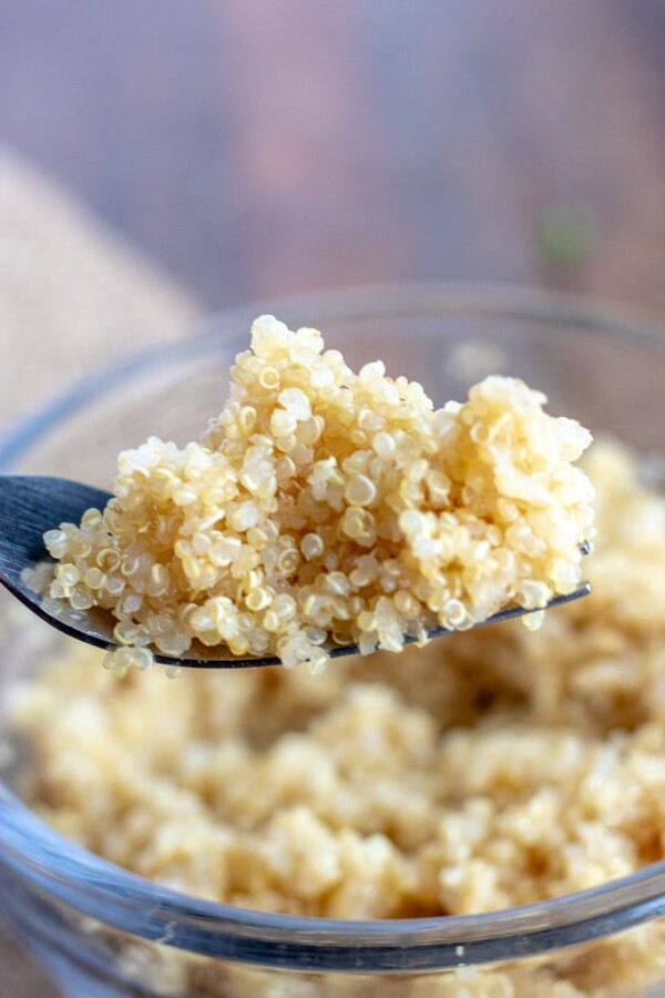 close up of cooked quinoa showing grains