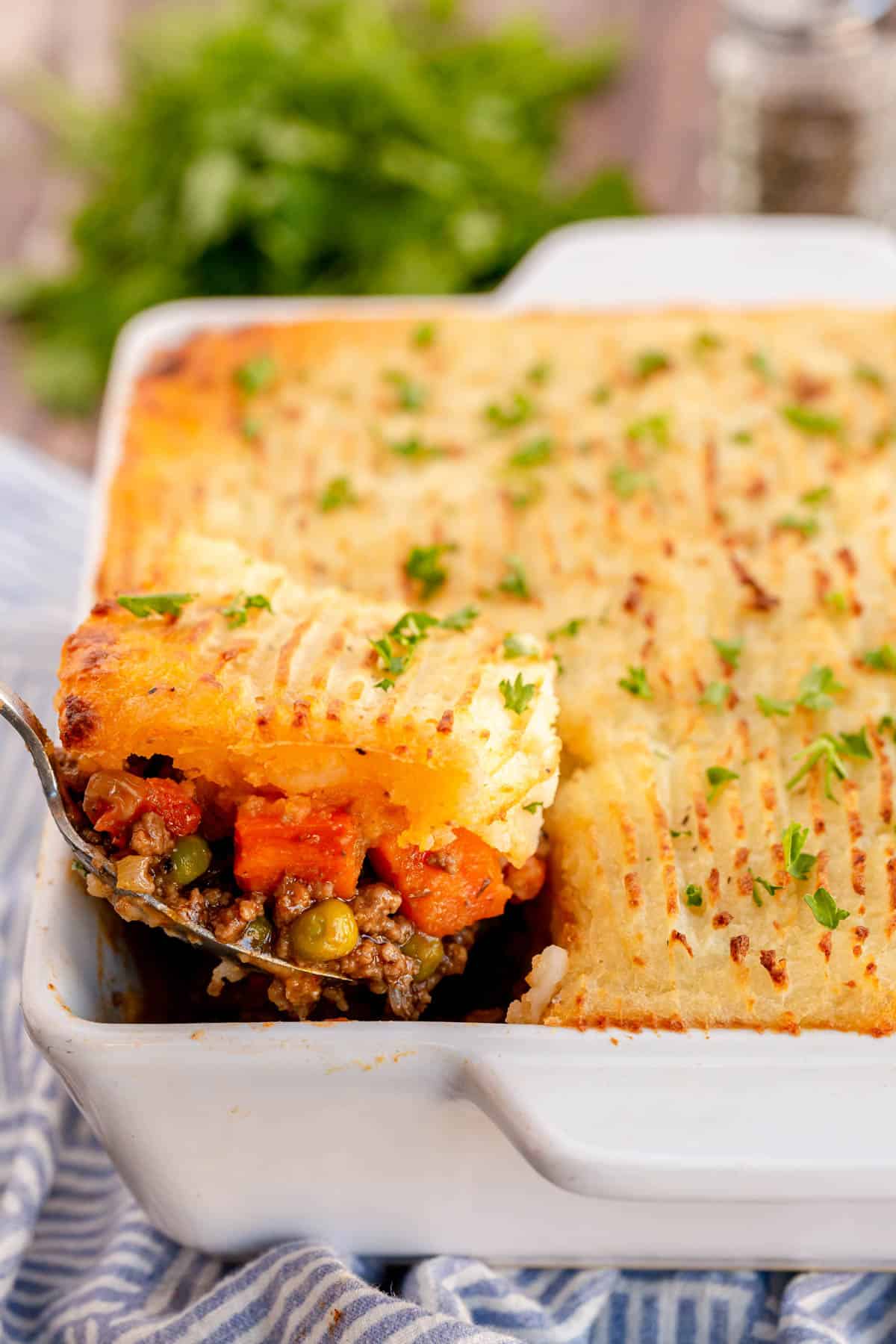 shepherd's pie being scooped out with a spoon