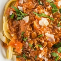 closeup of spaghetti bolognese on a white plate,